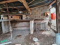 Maison de campagne à vendre près de La Romana in Real Estate Alicante
