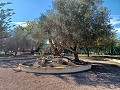 Lovely 3 Bedroom 2 Bathroom Villa in Aspe in Real Estate Alicante