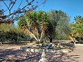 Lovely 3 Bedroom 2 Bathroom Villa in Aspe in Real Estate Alicante
