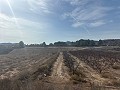 Magnifique terrain constructible à distance de marche de la ville. in Real Estate Alicante