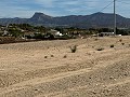 Magnifique terrain constructible à distance de marche de la ville. in Real Estate Alicante