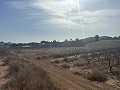 Magnifique terrain constructible à distance de marche de la ville. in Real Estate Alicante
