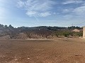 Magnifique terrain constructible à distance de marche de la ville. in Real Estate Alicante