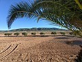 Belle maison de campagne à Yecla in Real Estate Alicante