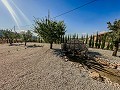Stunning new build villas  in Real Estate Alicante