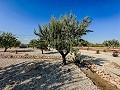 Stunning new build villas  in Real Estate Alicante
