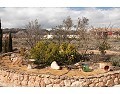 Lovely 3 Bed 2 Bath Villa, Pinoso. in Real Estate Alicante