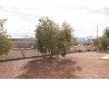Lovely 3 Bed 2 Bath Villa, Pinoso. in Real Estate Alicante