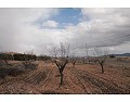 Lovely 3 Bed 2 Bath Villa, Pinoso. in Real Estate Alicante