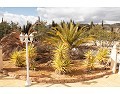 Lovely 3 Bed 2 Bath Villa, Pinoso. in Real Estate Alicante