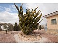 Lovely 3 Bed 2 Bath Villa, Pinoso. in Real Estate Alicante
