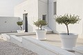 Magnifique Villa 5 Chambres 6 Salles de Bain in Real Estate Alicante