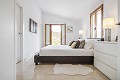 Magnifique Villa 5 Chambres 6 Salles de Bain in Real Estate Alicante