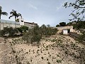  Gran casa de campo en Salinetas, Petrer in Real Estate Alicante