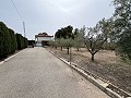  Gran casa de campo en Salinetas, Petrer in Real Estate Alicante