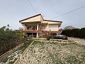  Gran casa de campo en Salinetas, Petrer in Real Estate Alicante