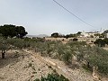  Gran casa de campo en Salinetas, Petrer in Real Estate Alicante