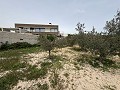  Gran casa de campo en Salinetas, Petrer in Real Estate Alicante