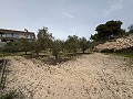  Gran casa de campo en Salinetas, Petrer in Real Estate Alicante