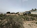  Gran casa de campo en Salinetas, Petrer in Real Estate Alicante