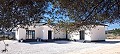 Stunning 3 Bedroom 3 Bathroom Villa in Pinoso in Real Estate Alicante