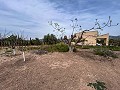 Cozy Country House with Pool in Sax in Real Estate Alicante