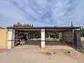 Cozy Country House with Pool in Sax in Real Estate Alicante