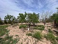Cozy Country House with Pool in Sax in Real Estate Alicante