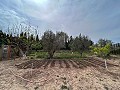 Cozy Country House with Pool in Sax in Real Estate Alicante