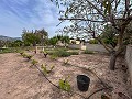 Cozy Country House with Pool in Sax in Real Estate Alicante