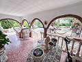 Cozy Country House with Pool in Sax in Real Estate Alicante