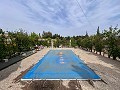 Cozy Country House with Pool in Sax in Real Estate Alicante