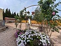 Cozy Country House with Pool in Sax in Real Estate Alicante