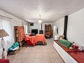 Cozy Country House with Pool in Sax in Real Estate Alicante