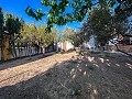 Prachtig landhuis met 4 slaapkamers in Monforte del Cid in Real Estate Alicante