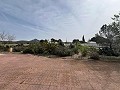  Country House in Sax in Real Estate Alicante
