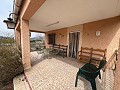  Country House in Sax in Real Estate Alicante