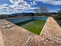  Country House in Sax in Real Estate Alicante