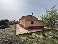 Country House in Sax in Real Estate Alicante