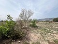 Country House in Sax in Real Estate Alicante
