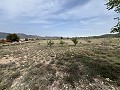  Country House in Sax in Real Estate Alicante