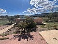  Country House in Sax in Real Estate Alicante