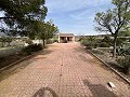  Country House in Sax in Real Estate Alicante