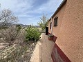  Country House in Sax in Real Estate Alicante