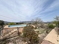  Country House in Sax in Real Estate Alicante