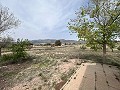  Country House in Sax in Real Estate Alicante