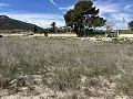 Schönes Grundstück zwischen La Romana und Hondon de las Nieves. in Real Estate Alicante