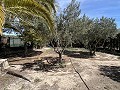 2 Bed 1 Bath Finca for sale in la Romana. in Real Estate Alicante