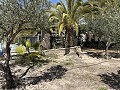 2 Bed 1 Bath Finca for sale in la Romana. in Real Estate Alicante