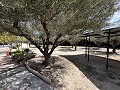 2 Bed 1 Bath Finca for sale in la Romana. in Real Estate Alicante